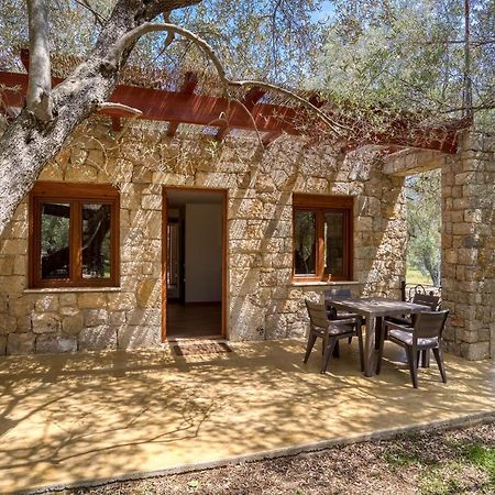 Apartmán Stonehouse In Olives Ulcinj Exteriér fotografie