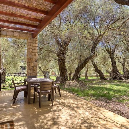 Apartmán Stonehouse In Olives Ulcinj Exteriér fotografie