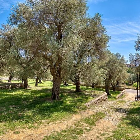 Apartmán Stonehouse In Olives Ulcinj Exteriér fotografie