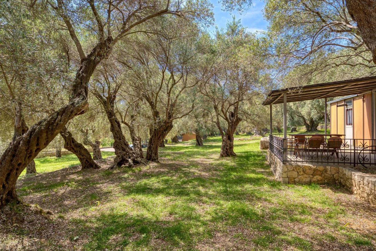 Apartmán Stonehouse In Olives Ulcinj Exteriér fotografie