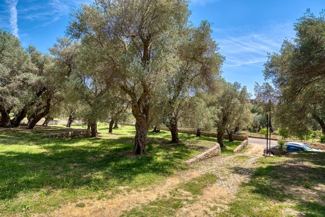 Apartmán Stonehouse In Olives Ulcinj Exteriér fotografie