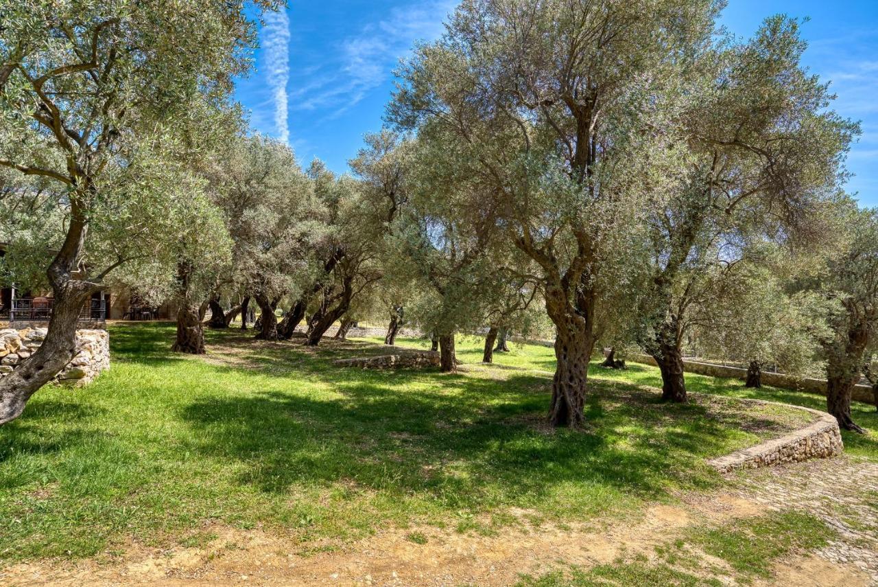 Apartmán Stonehouse In Olives Ulcinj Exteriér fotografie